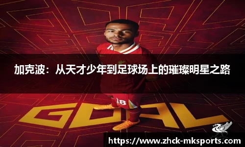 mk体育